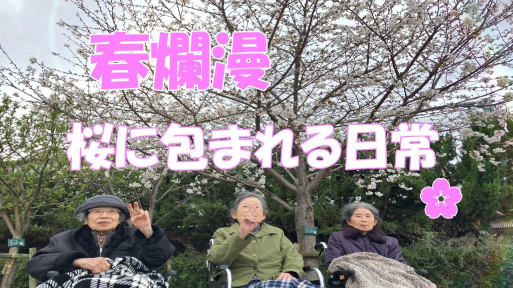 満開の桜と笑顔が咲いた春のおでかけ　こもれびの里守口
